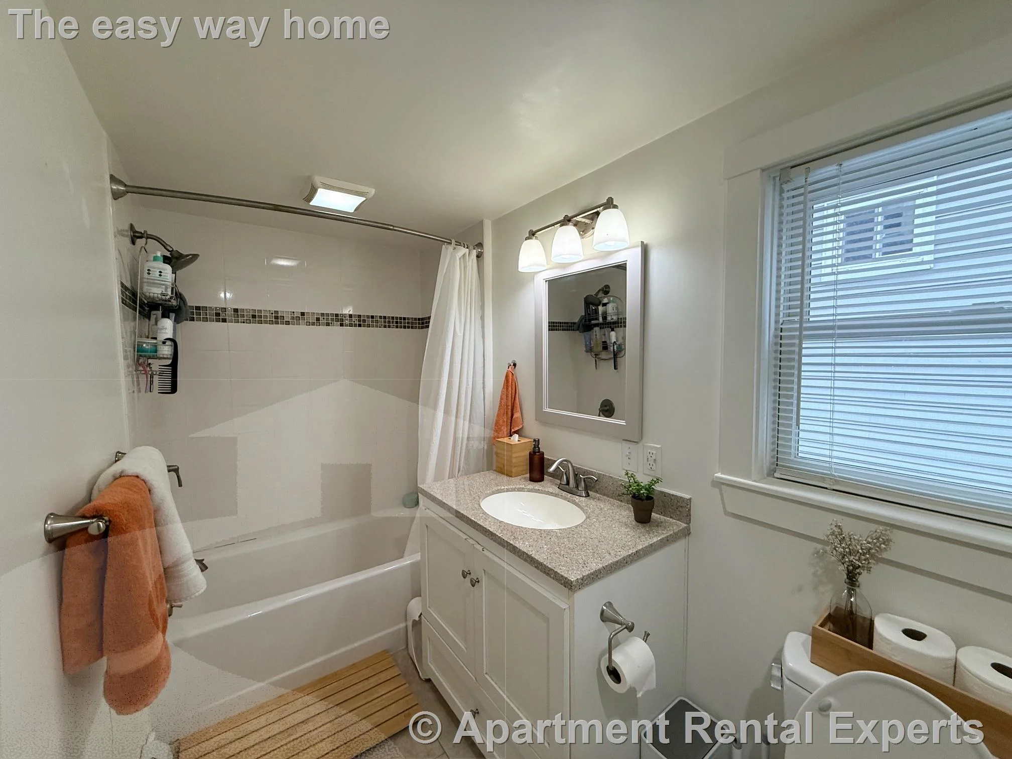 2 bed, 2 bath apartment for rent at 119 Central St, Spring Hill — photo 5 of 23