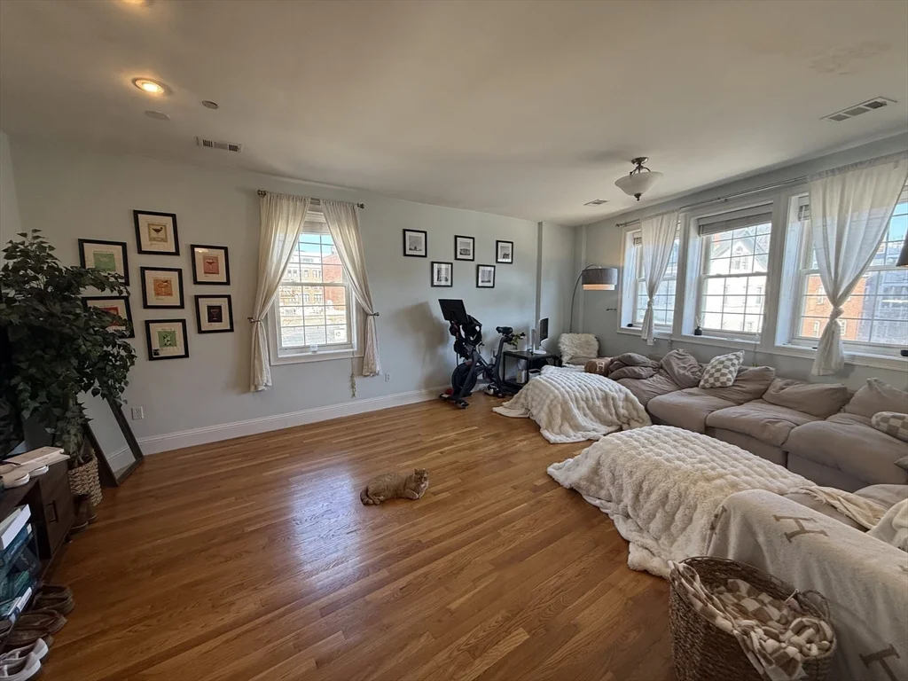2 bed, 2 bath apartment for rent at 119 Dorchester St Unit 10, South Boston — photo 7 of 19