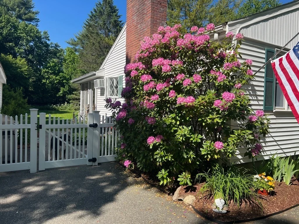 3 bed, 1 bath apartment for rent at 119 Page Rd Unit 0, Bedford — photo 26 of 41