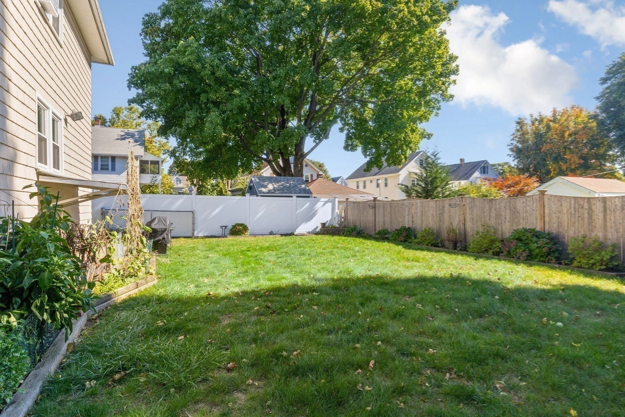 3 bed, 2 bath apartment for rent at 119 Waverley St Unit 1, Waverley — photo 18 of 20
