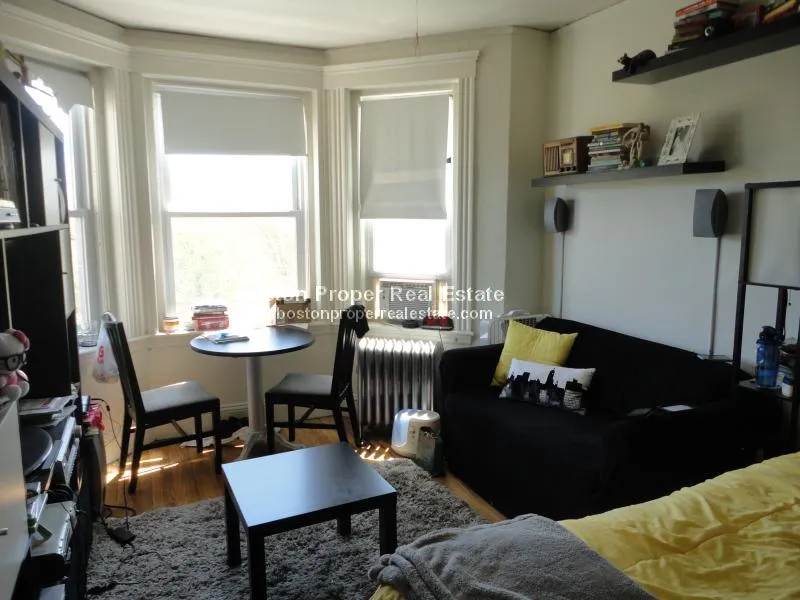 Studio bed, 1 bath apartment for rent at 1191 Boylston St Unit 50, Fenway — photo 8 of 10