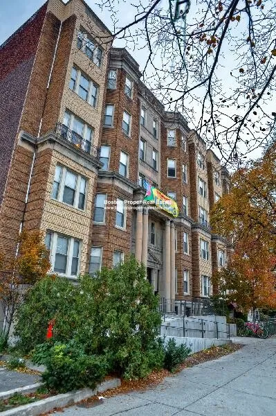 Studio bed, 1 bath apartment for rent at 1197 Boylston St Unit 22, Fenway — photo 5 of 7