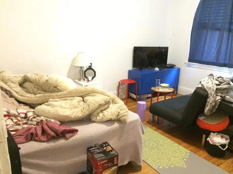 1 bed, 1 bath apartment for rent at 1197 Boylston St Unit 33, Fenway — photo 3 of 9