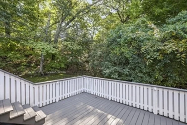 3 bed, 1 bath apartment for rent at 11A Centre Ln Unit 11A, West Roxbury — photo 19 of 20