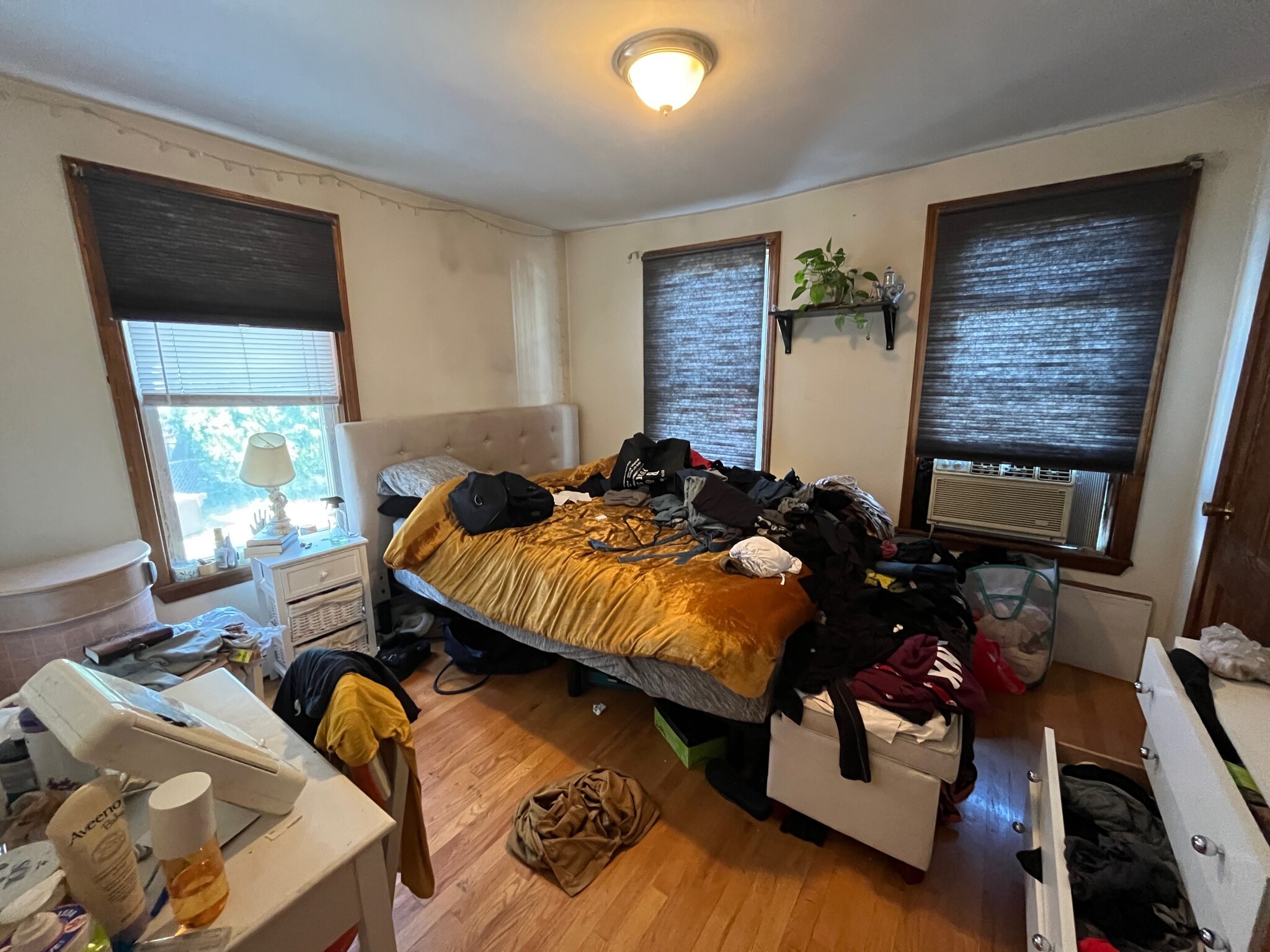 1.5 bed, 1 bath apartment for rent at 12 Abbey Rd Unit 1, Lower Allston — photo 1 of 7