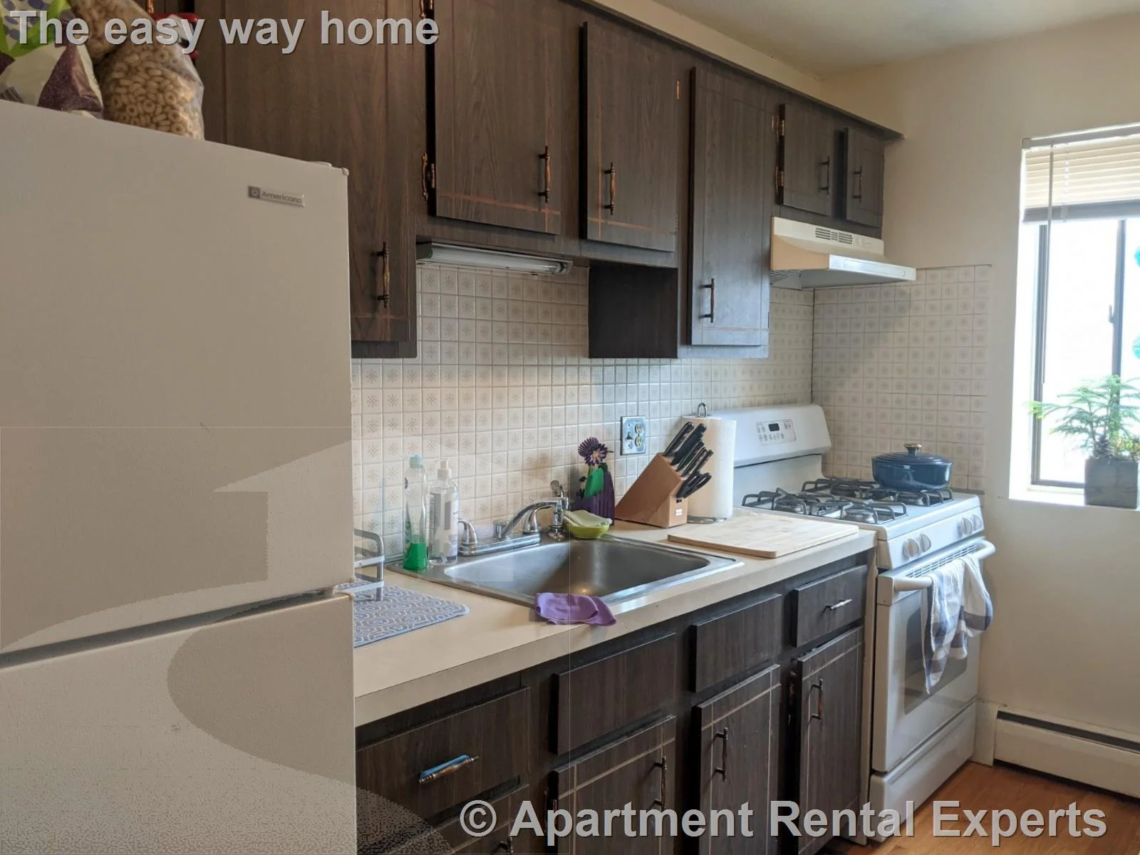 1 bed, 1 bath apartment for rent at 12 Cameron Ave Unit 11, Davis Square — photo 2 of 18