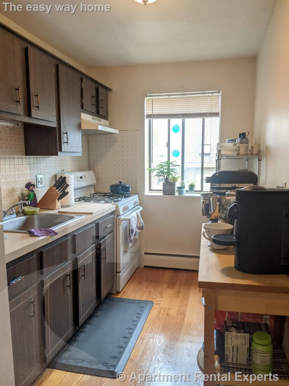 1 bed, 1 bath apartment for rent at 12 Cameron Ave Unit 11, Davis Square