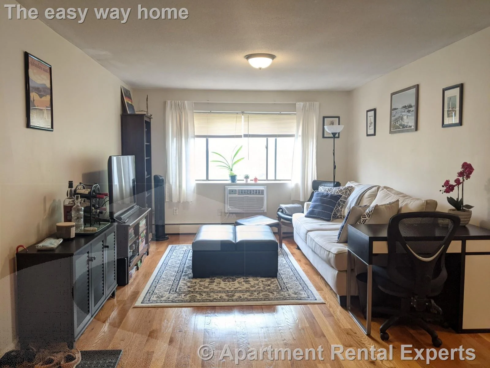 1 bed, 1 bath apartment for rent at 12 Cameron Ave Unit 11, Davis Square — photo 6 of 18