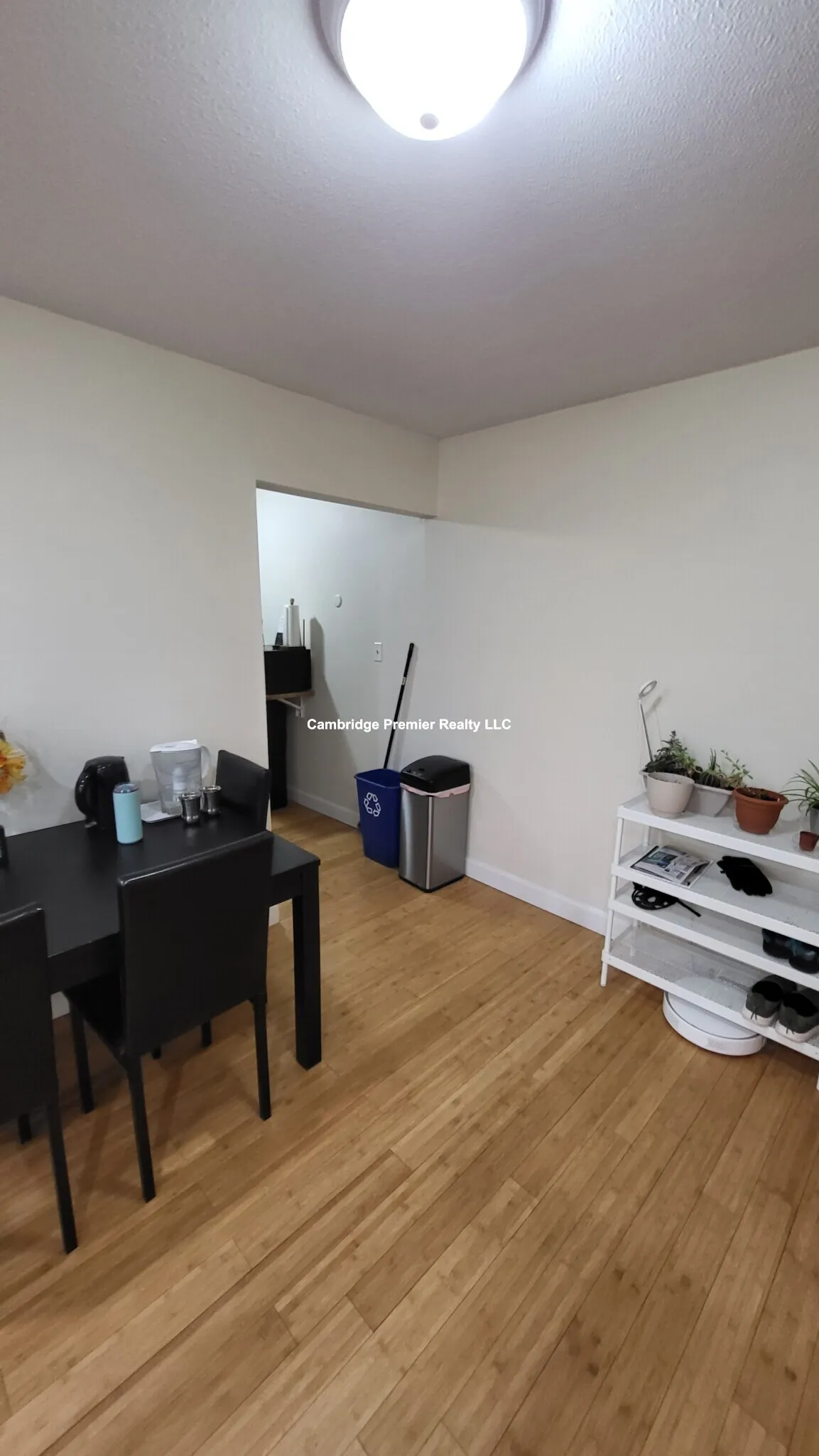 1 bed, 1 bath apartment for rent at 12 Cameron Ave Unit 6, Teele Square — photo 3 of 9
