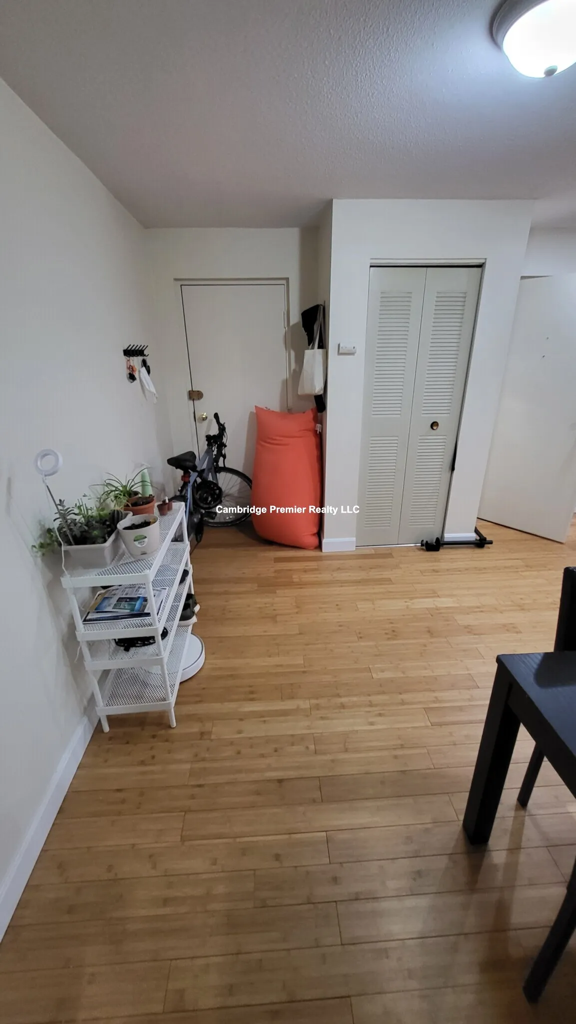 1 bed, 1 bath apartment for rent at 12 Cameron Ave Unit 6, Teele Square — photo 6 of 9