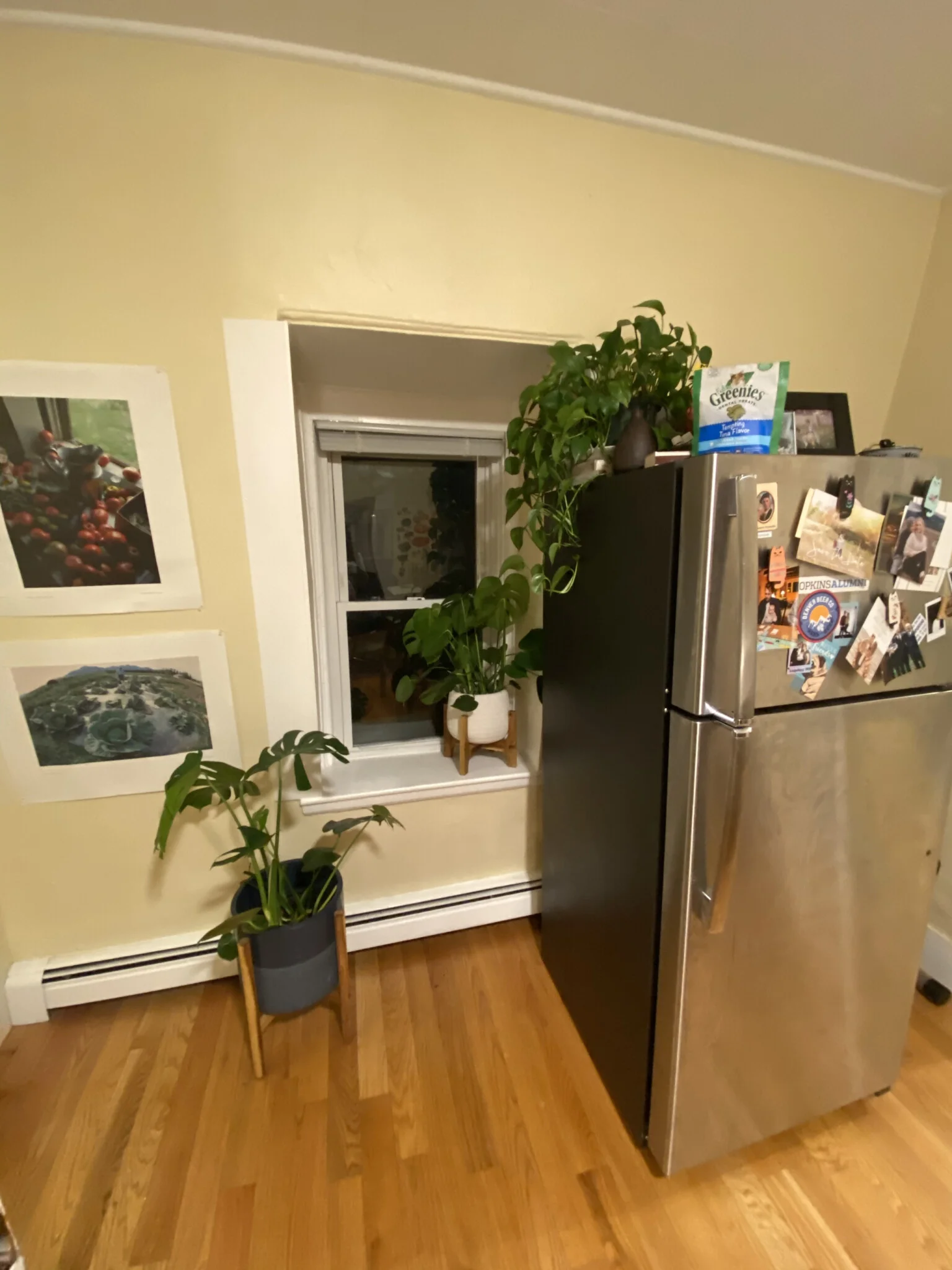 1.5 bed, 1 bath apartment for rent at 12 Claremon St Unit 3, Teele Square — photo 24 of 27
