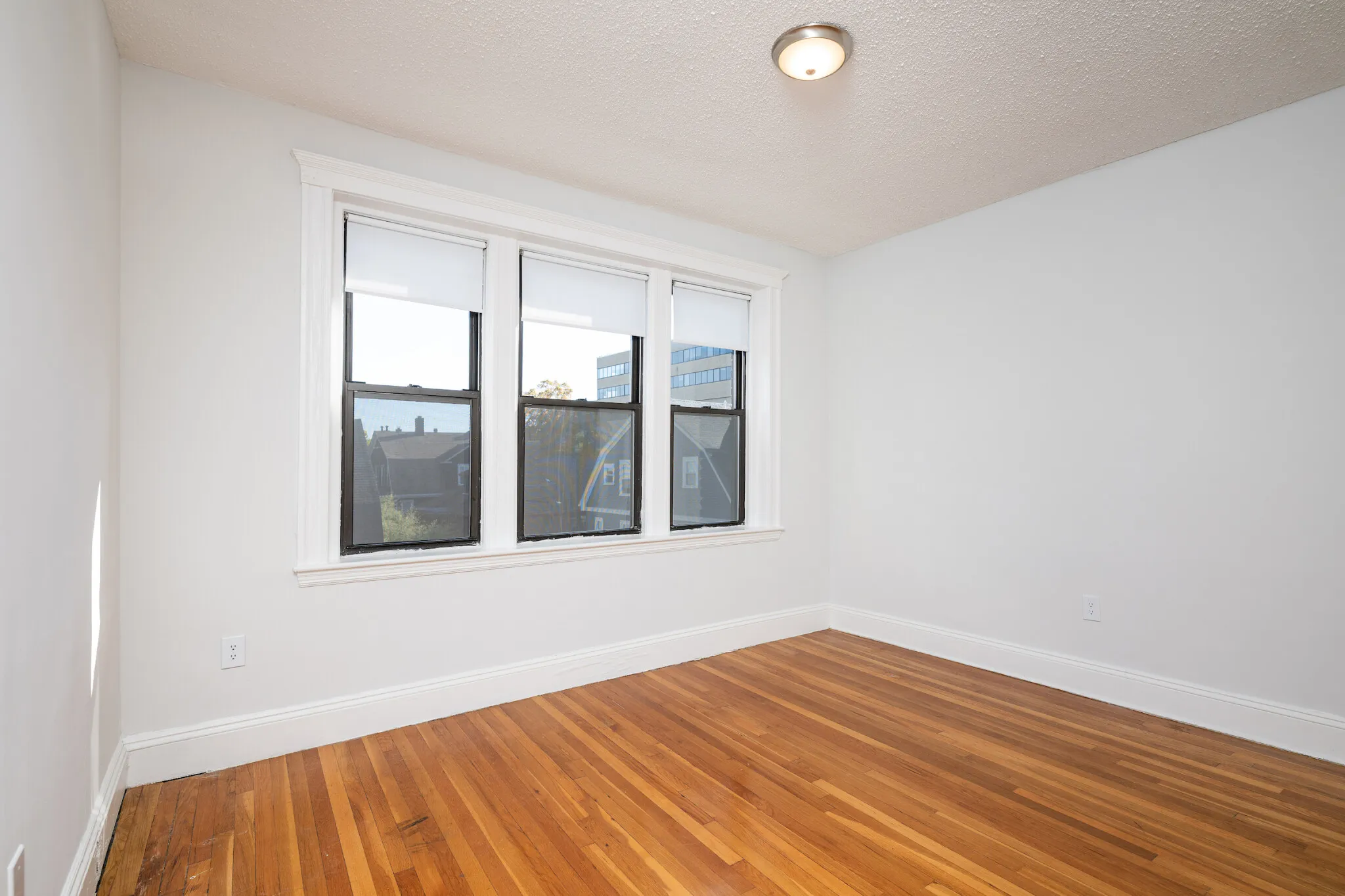 2 bed, 1 bath apartment for rent at 12 Elko St Unit 9, Brighton — photo 4 of 16