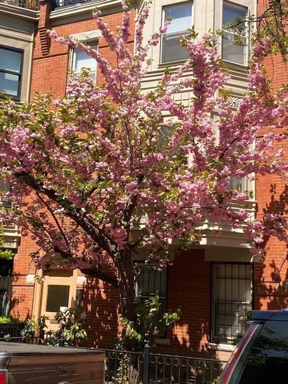 1 bed, 1 bath apartment for rent at 12 Follen St Unit 2, Back Bay