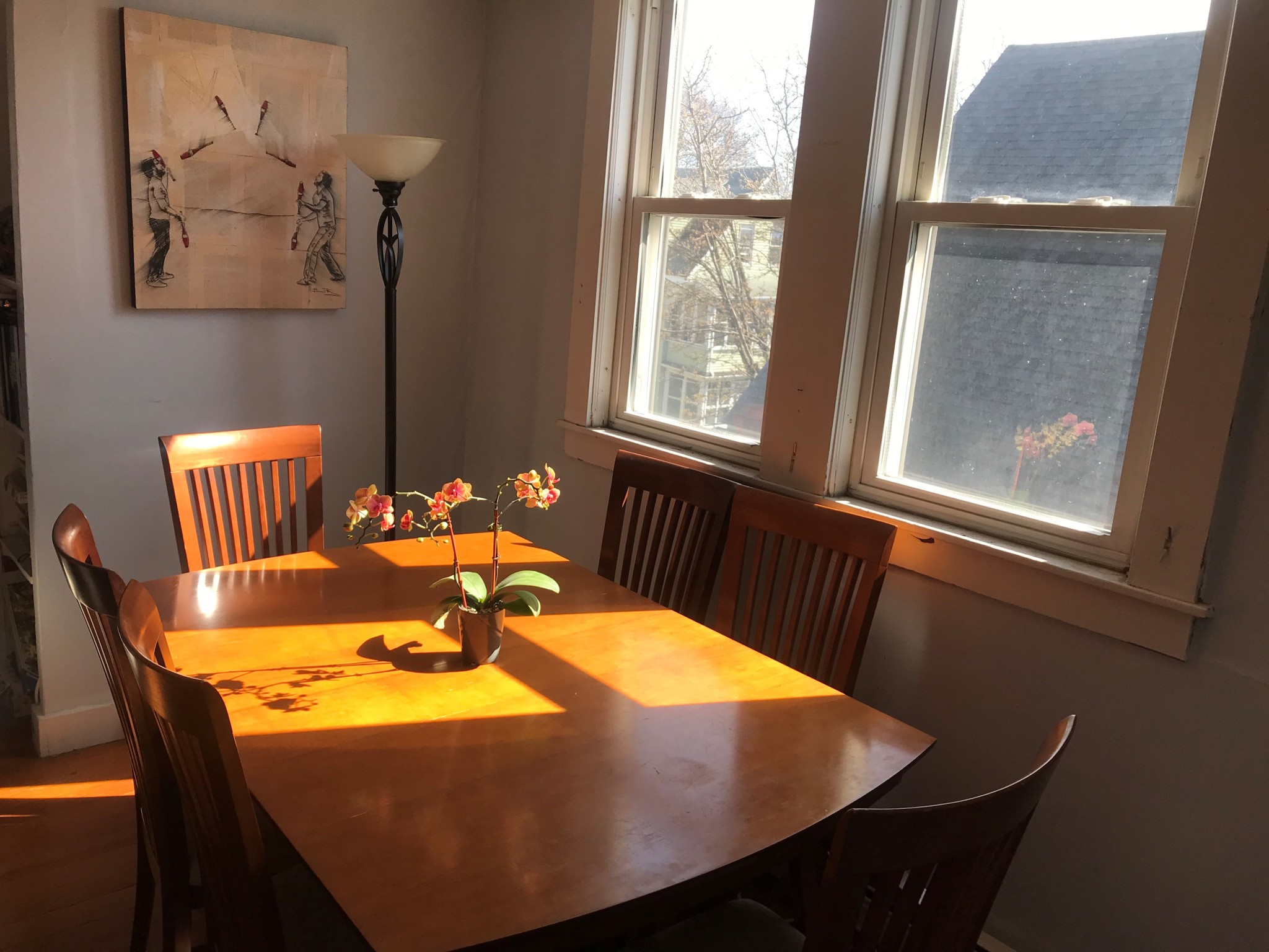 1 bed, 1 bath apartment for rent at 12 Hancock St Unit 3, Spring Hill — photo 8 of 17
