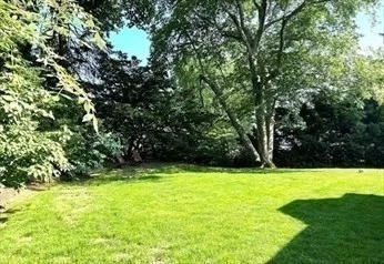 5 bed, 3 bath apartment for rent at 12 Kilburn Rd Unit 12, Belmont — photo 25 of 27