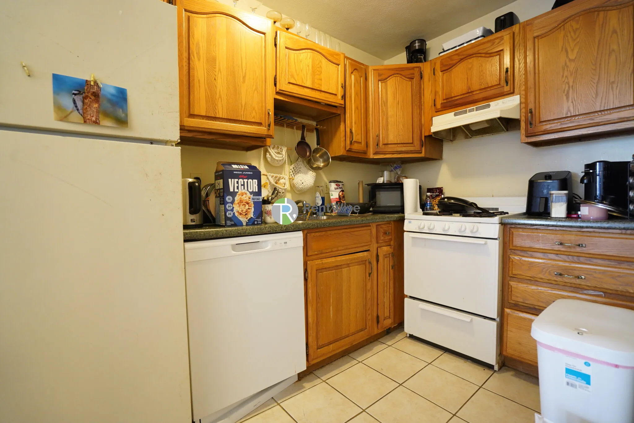 3 bed, 1 bath apartment for rent at 12 Lorraine Ter Unit 1, Allston — photo 5 of 13