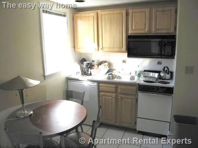 Studio bed, 1 bath apartment for rent at 12 Mount Auburn St Unit 12, Harvard Square — photo 2 of 5