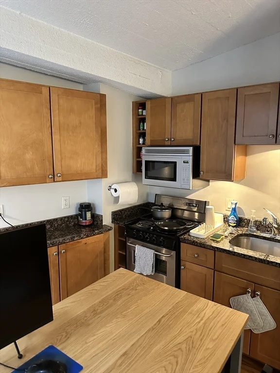 Studio bed, 1 bath apartment for rent at 12 Stoneholm St Unit 420, Fenway — photo 7 of 17