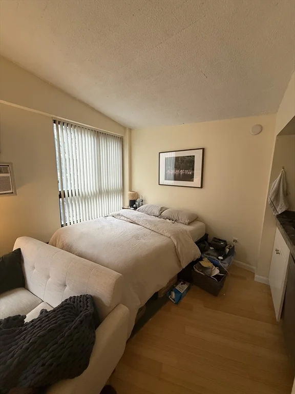 Studio bed, 1 bath apartment for rent at 12 Stoneholm St Unit 422, Fenway — photo 7 of 25