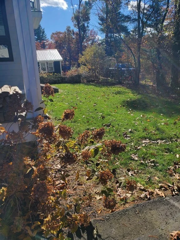 2 bed, 2 bath apartment for rent at 12 Terrace Way, Middleboro — photo 6 of 28