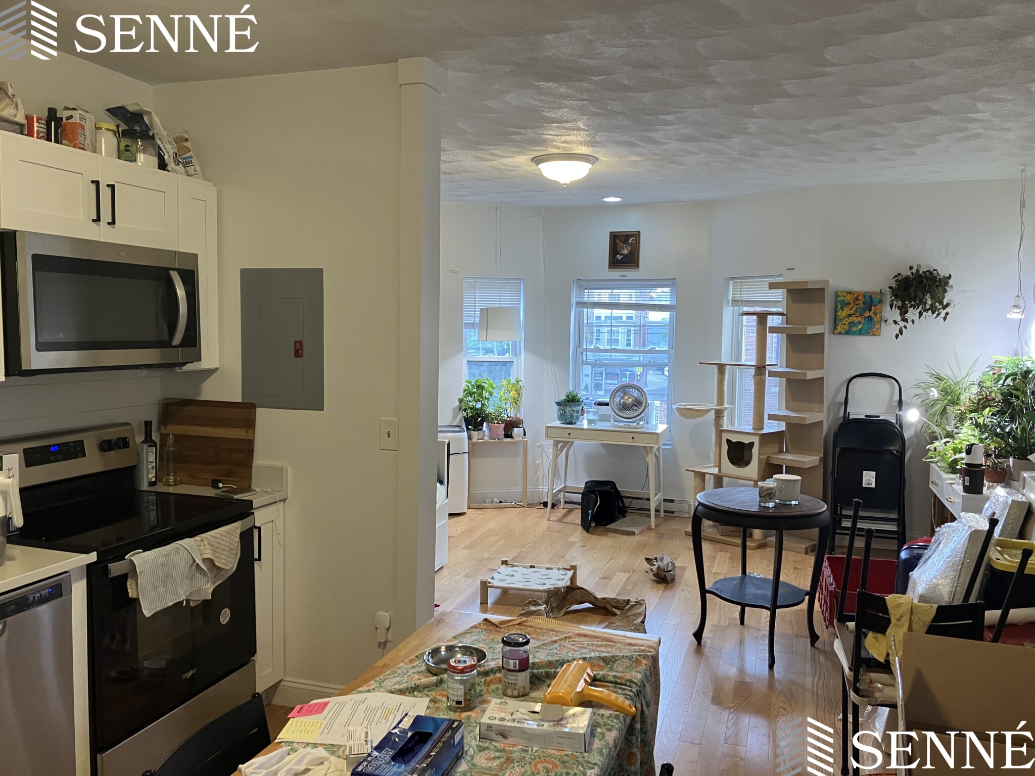 2 bed, 1 bath apartment for rent at 12 Winter St Unit 6, Davis Square — photo 18 of 20