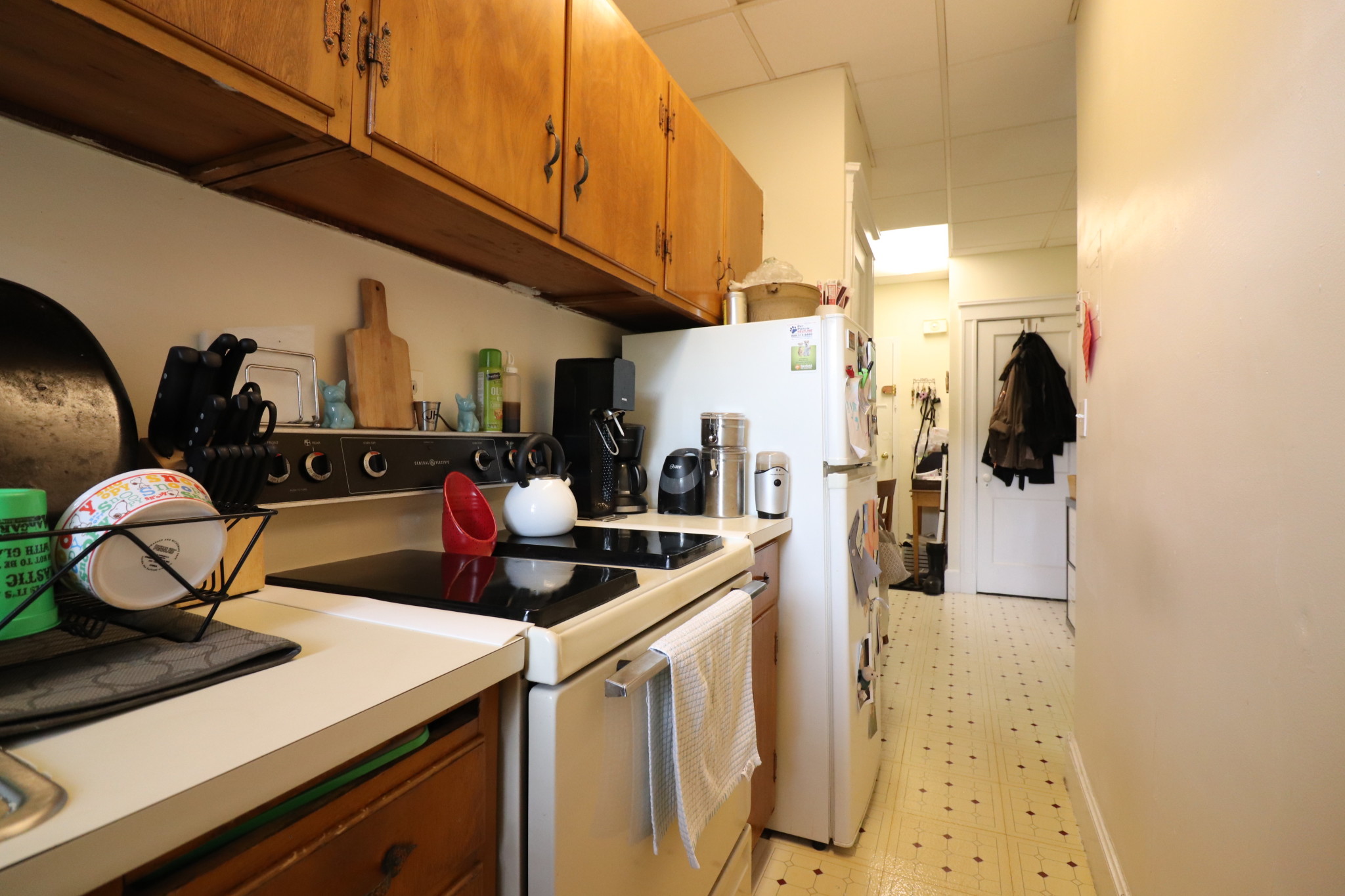 1 bed, 1 bath apartment for rent at 120 Babcock St Unit 22B, North Brookline — photo 1 of 15