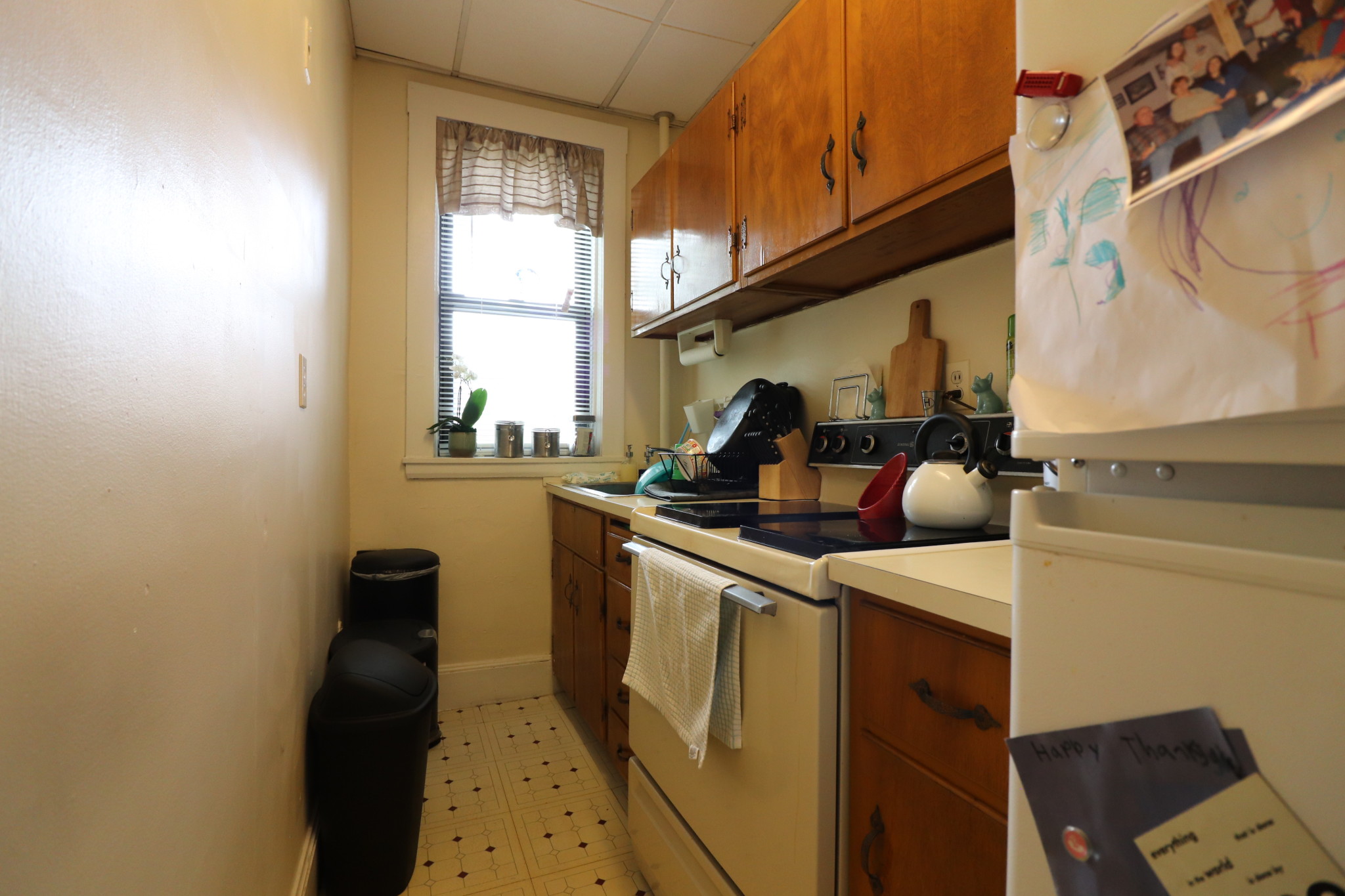 1 bed, 1 bath apartment for rent at 120 Babcock St Unit 32B, North Brookline — photo 5 of 15