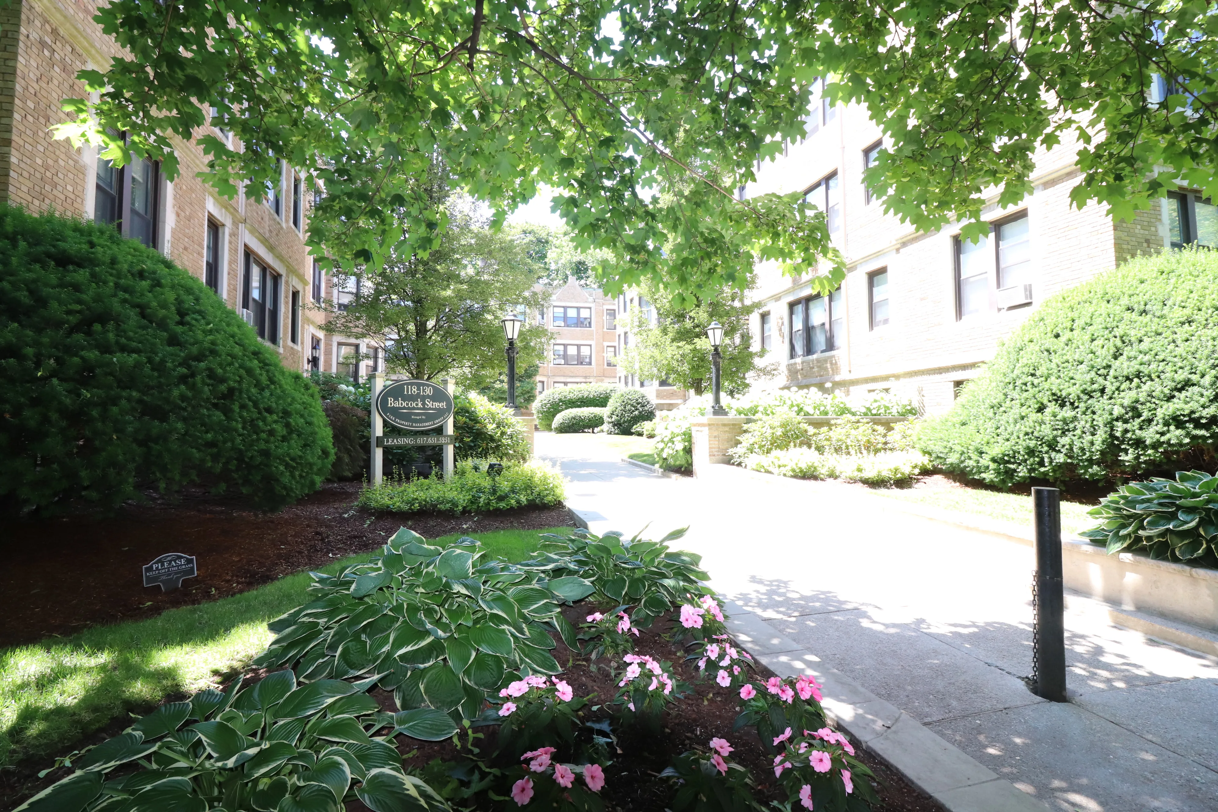 1 bed, 1 bath apartment for rent at 120 Babcock St Unit B4, North Brookline — photo 9 of 10