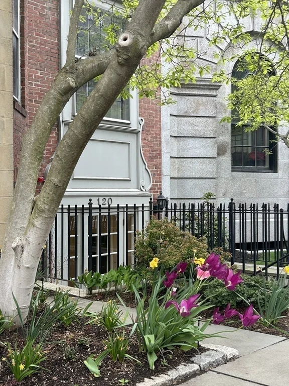 Studio bed, 1 bath apartment for rent at 120 Beacon St Unit 1A, Back Bay — photo 15 of 16
