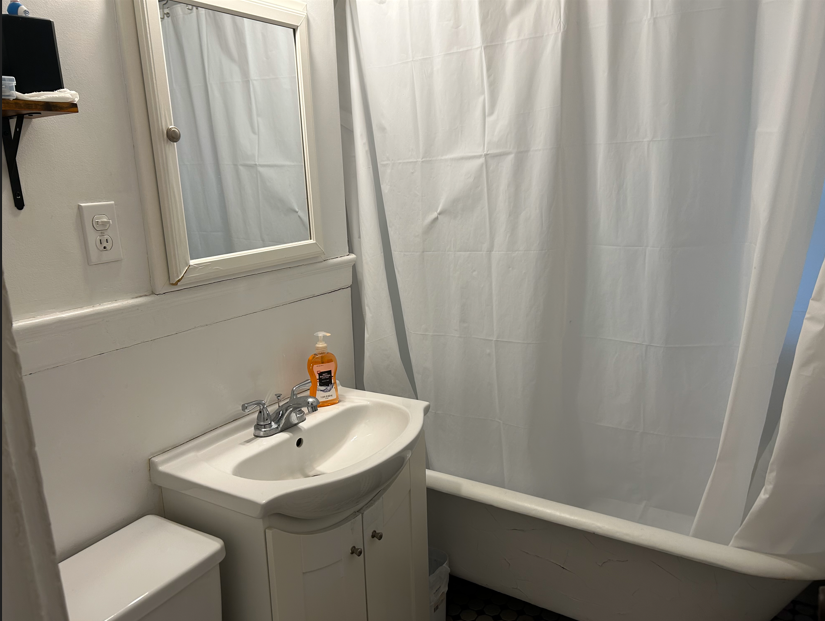 1 bed, 1 bath apartment for rent at 120 Brainerd Rd Unit 5, Allston — photo 6 of 8