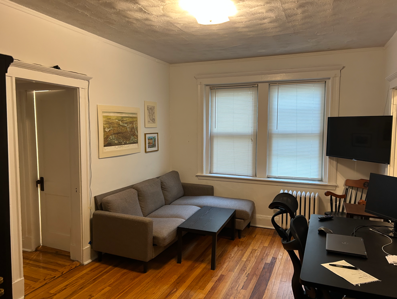 1 bed, 1 bath apartment for rent at 120 Brainerd Rd Unit 5, Allston — photo 2 of 8