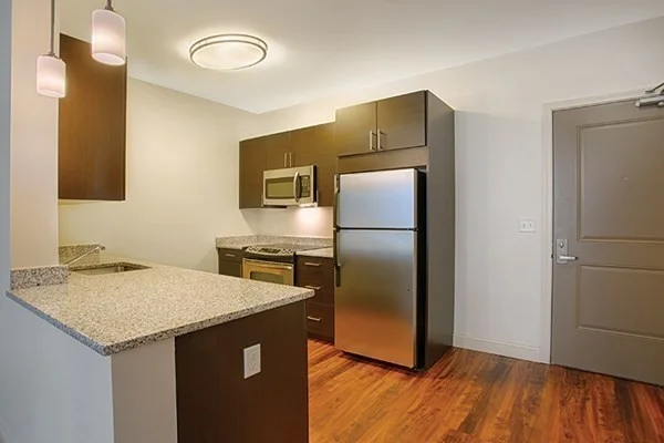 1 bed, 1 bath apartment for rent at 120 Pleasant St Unit 302, Watertown — photo 2 of 6