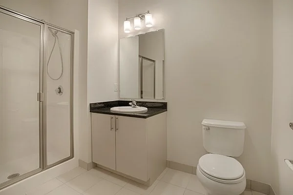 1 bed, 1 bath apartment for rent at 120 Pleasant St Unit 407, Watertown — photo 4 of 6