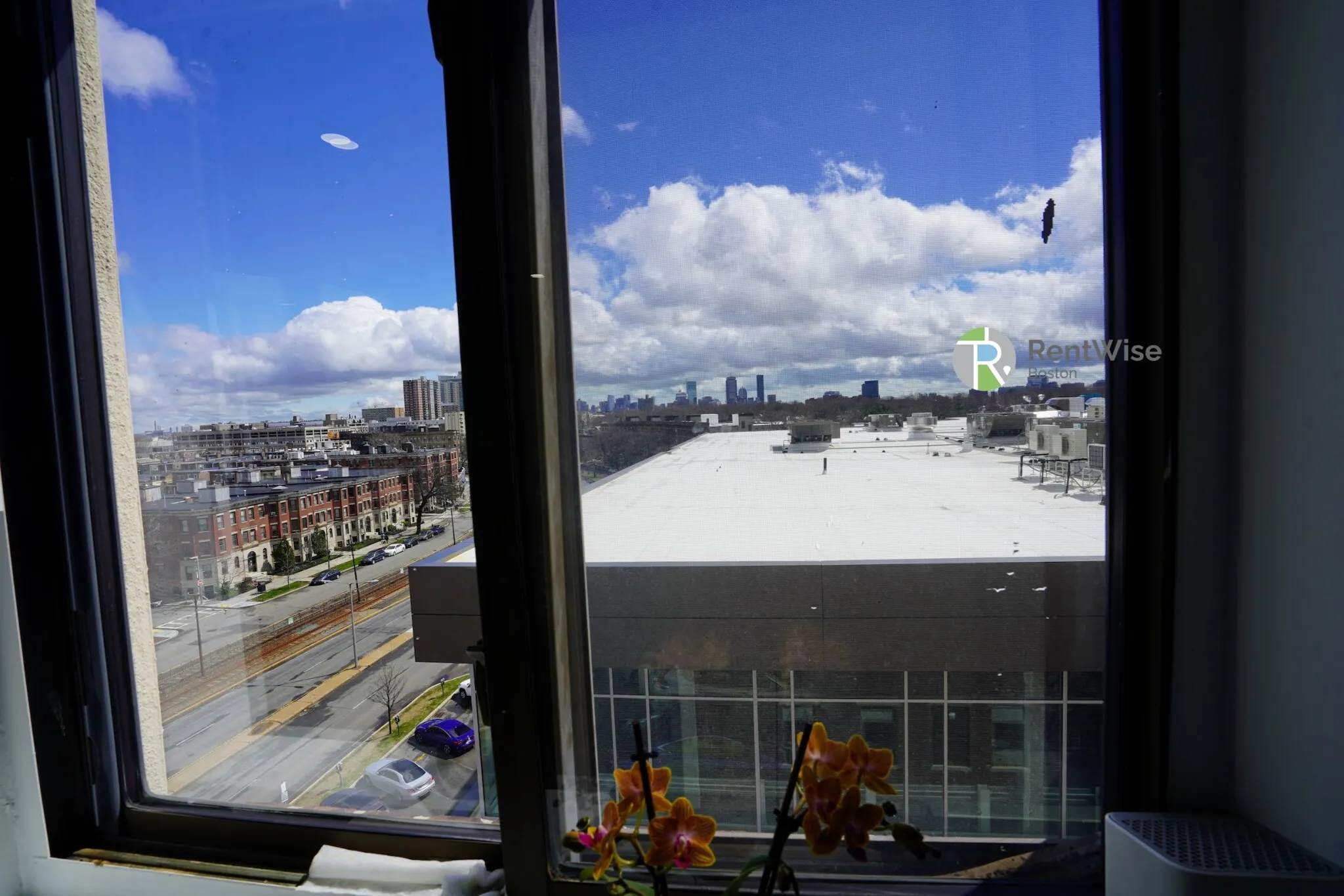 2 bed, 1 bath apartment for rent at 1200 Commonwealth Ave Unit 36, Brighton — photo 13 of 26