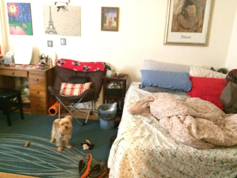 Studio bed, 1 bath apartment for rent at 1203 Boylston St Unit 32, Fenway — photo 4 of 6