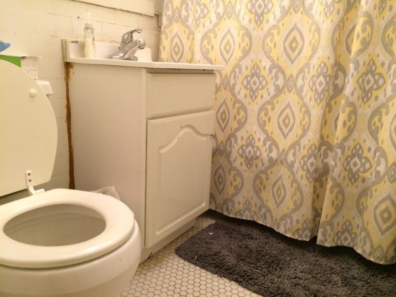 2 bed, 1 bath apartment for rent at 1209 Boylston St Unit 1, Fenway — photo 4 of 14