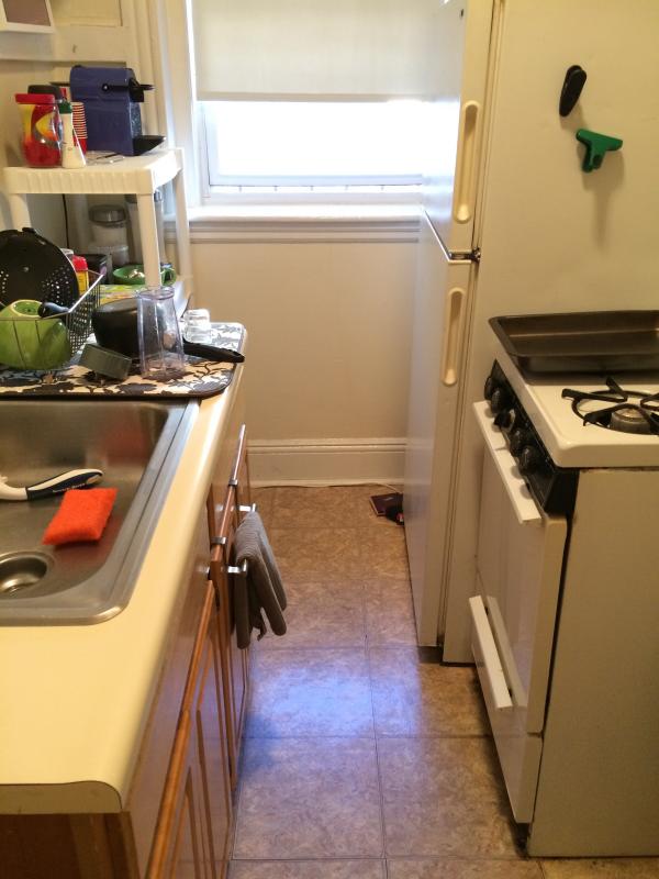 1 bed, 1 bath apartment for rent at 1209 Boylston St Unit 37, Fenway — photo 8 of 13