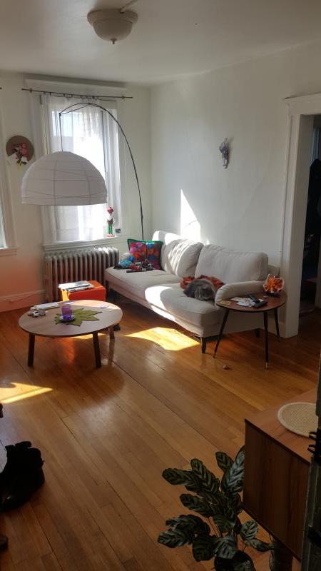 1 bed, 1 bath apartment for rent at 121 Park Dr Unit 41, Fenway — photo 1 of 8