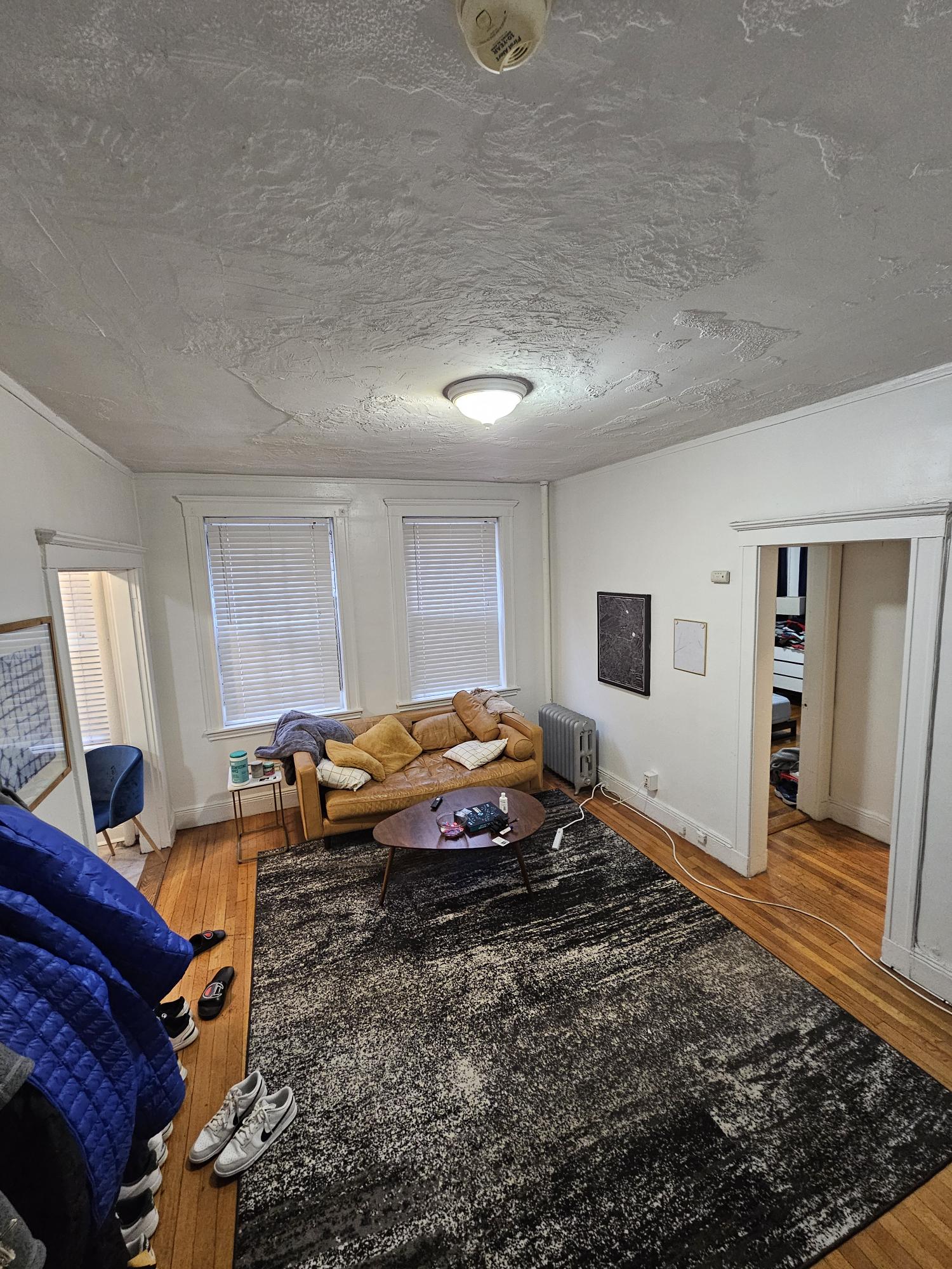 1 bed, 1 bath apartment for rent at 121 Park Dr Unit 5, Fenway — photo 2 of 11