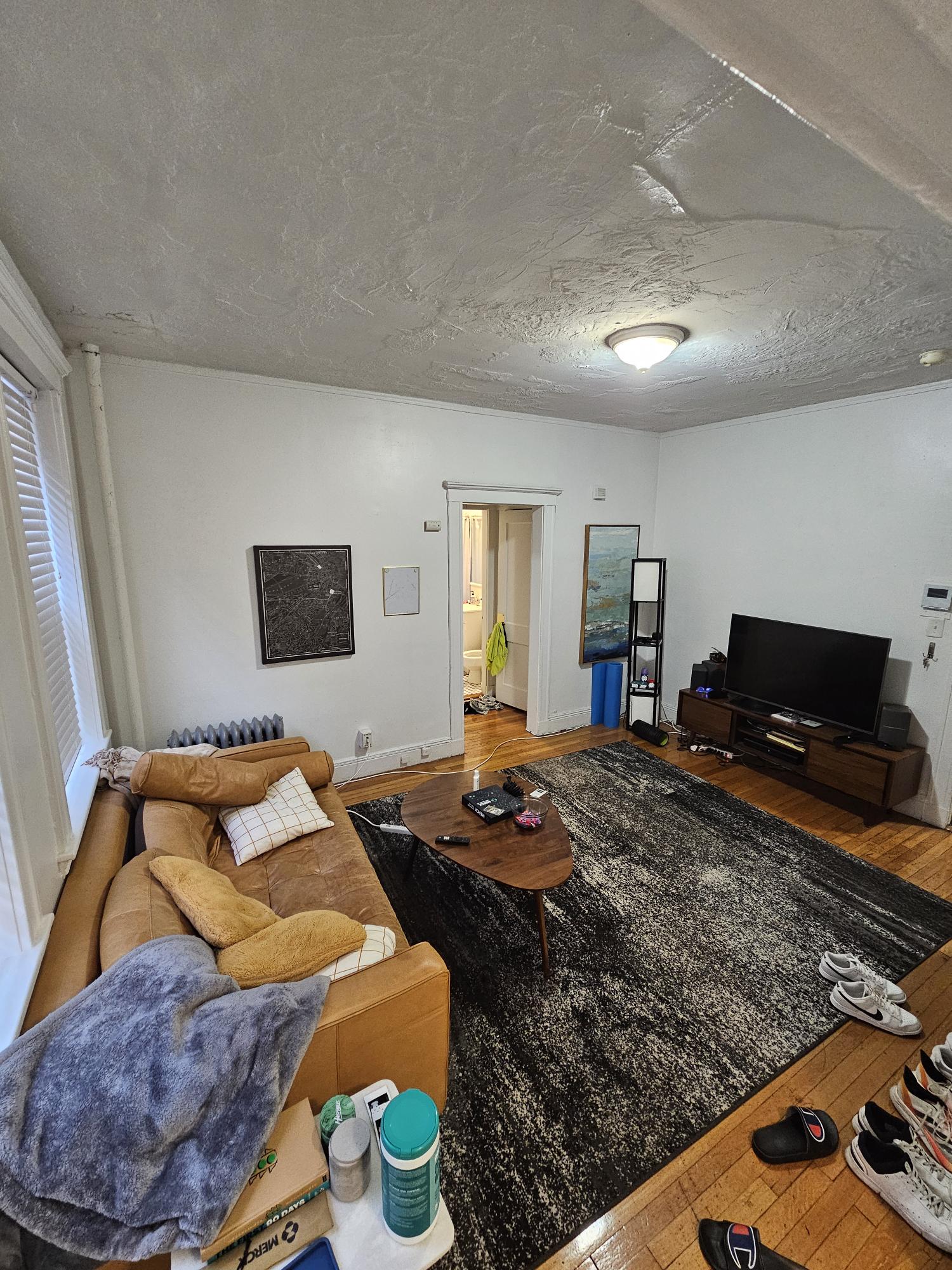 1 bed, 1 bath apartment for rent at 121 Park Dr Unit 5, Fenway — photo 4 of 11