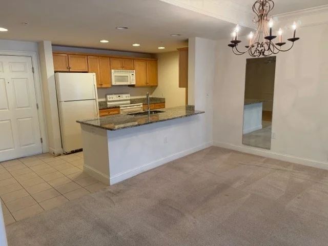 1 bed, 1 bath apartment for rent at 1214 Emerald Ct Unit 1214, Tewksbury — photo 1 of 31