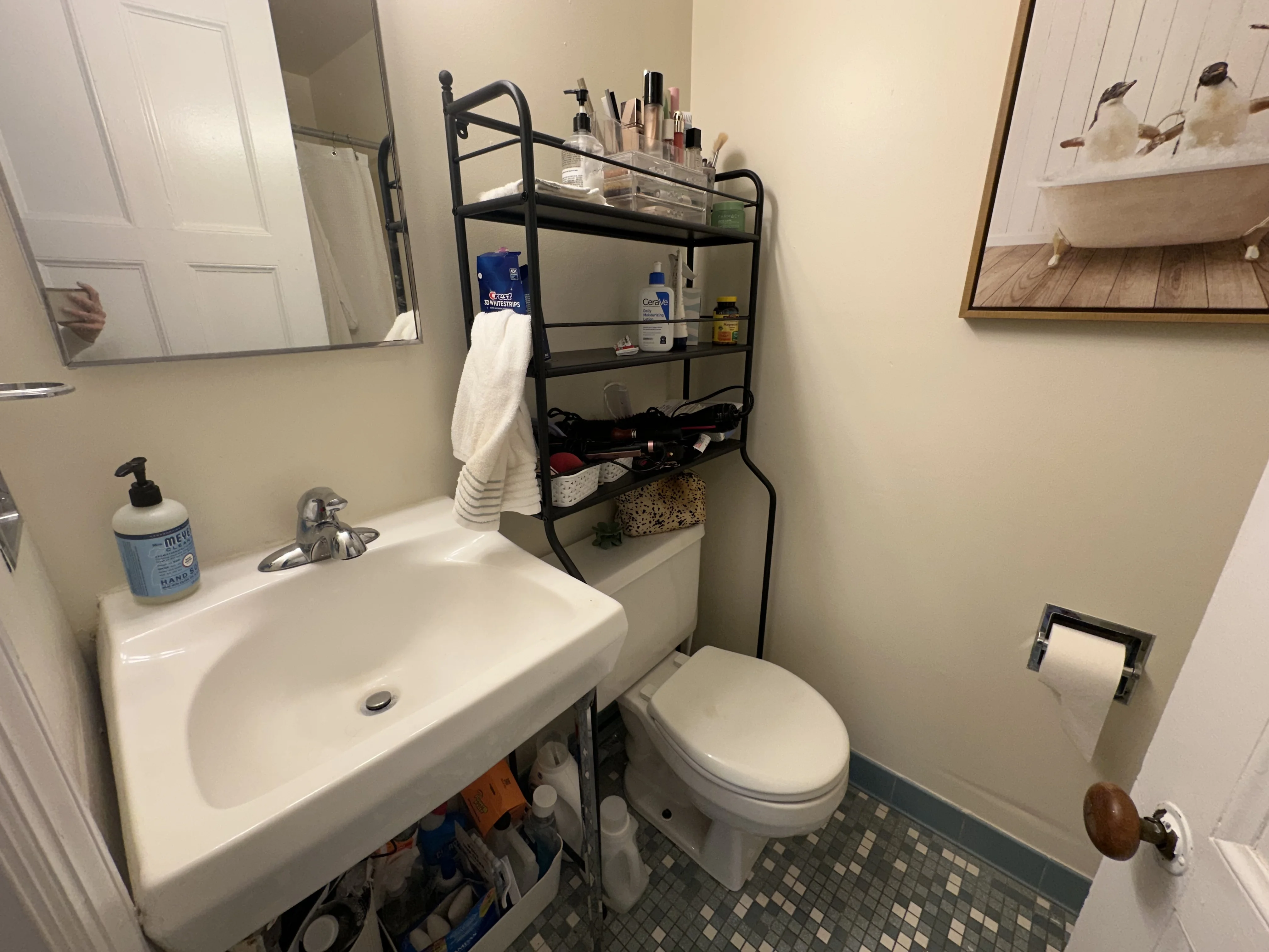 3 bed, 2 bath apartment for rent at 1215 Beacon St Unit 7, Coolidge Corner — photo 13 of 13
