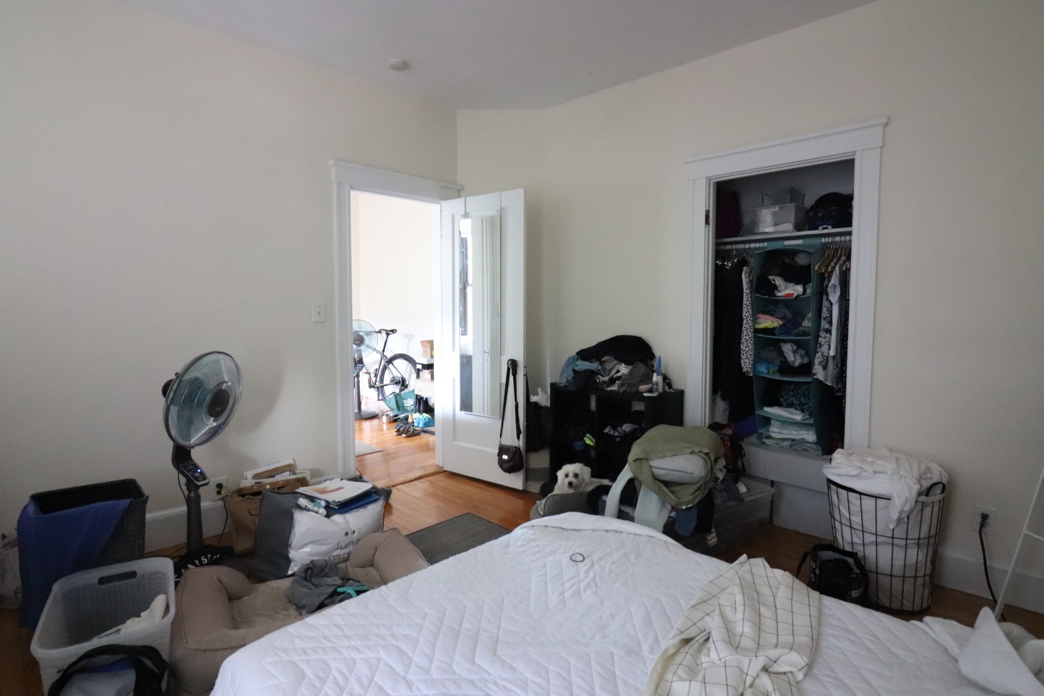 1 bed, 1 bath apartment for rent at 122 Babcock St Unit 33A, North Brookline — photo 7 of 13