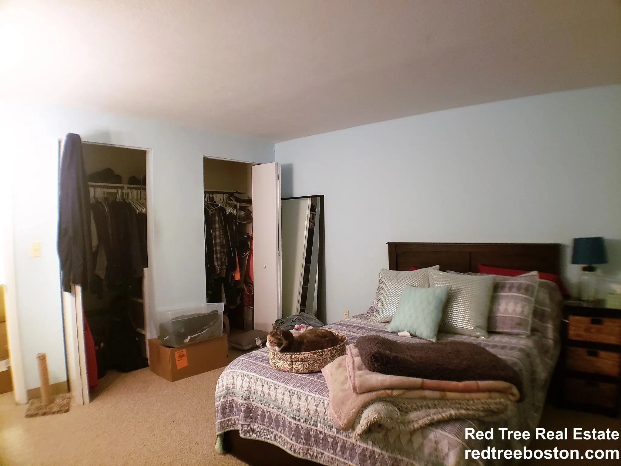 1 bed, 1 bath apartment for rent at 122 Dustin St Unit 22, Brighton — photo 6 of 10