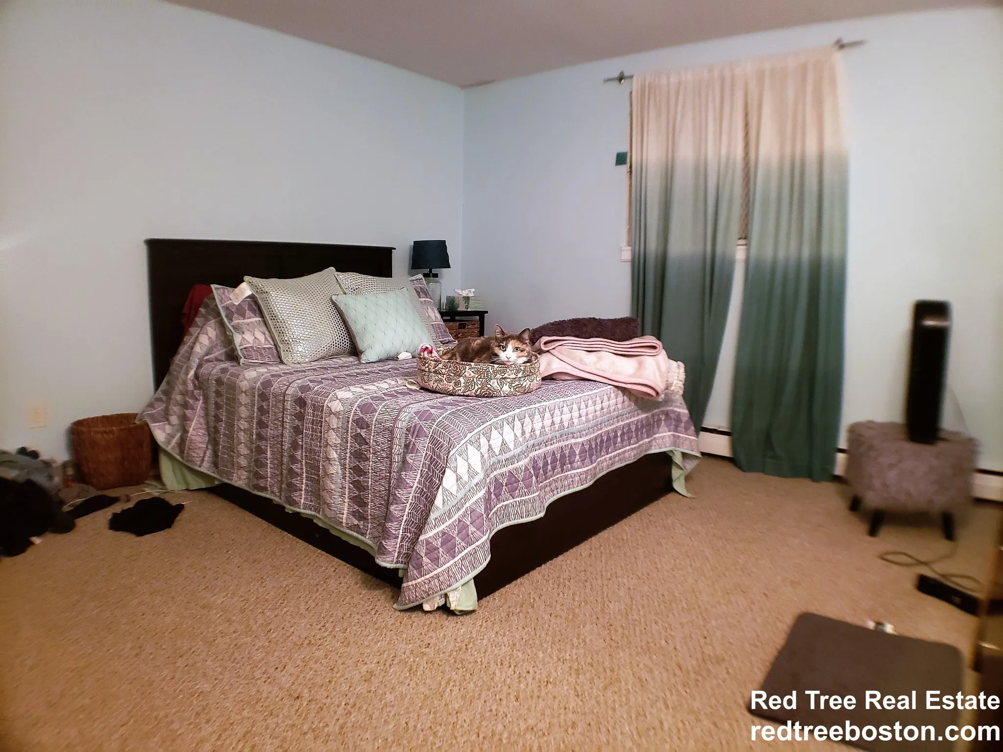 1 bed, 1 bath apartment for rent at 122 Dustin St Unit 22, Brighton — photo 5 of 10