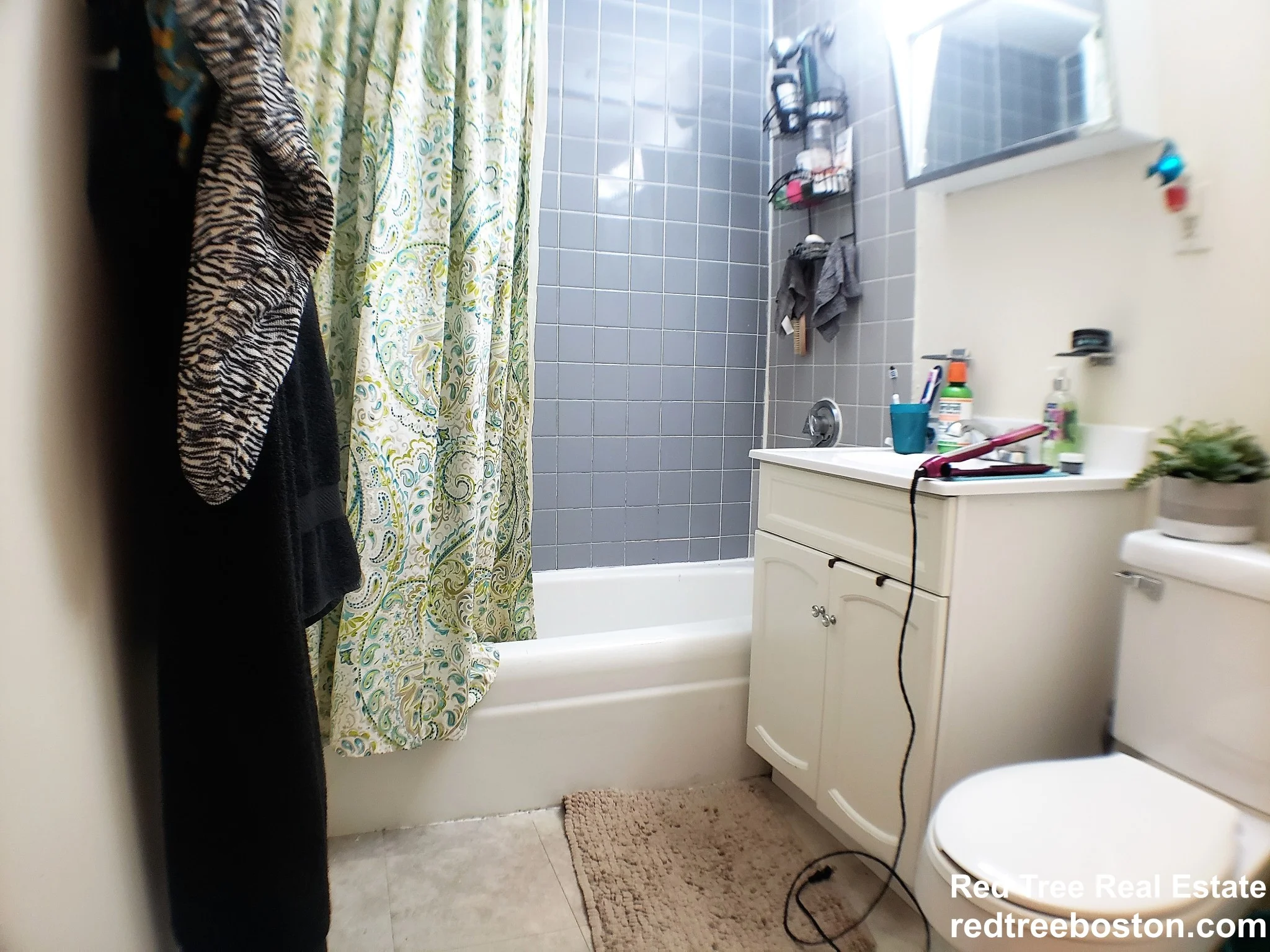 1 bed, 1 bath apartment for rent at 122 Dustin St Unit 22, Brighton — photo 7 of 10