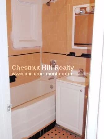 2 bed, 1 bath apartment for rent at 1223 Beacon St Unit 401, Brookline — photo 7 of 10