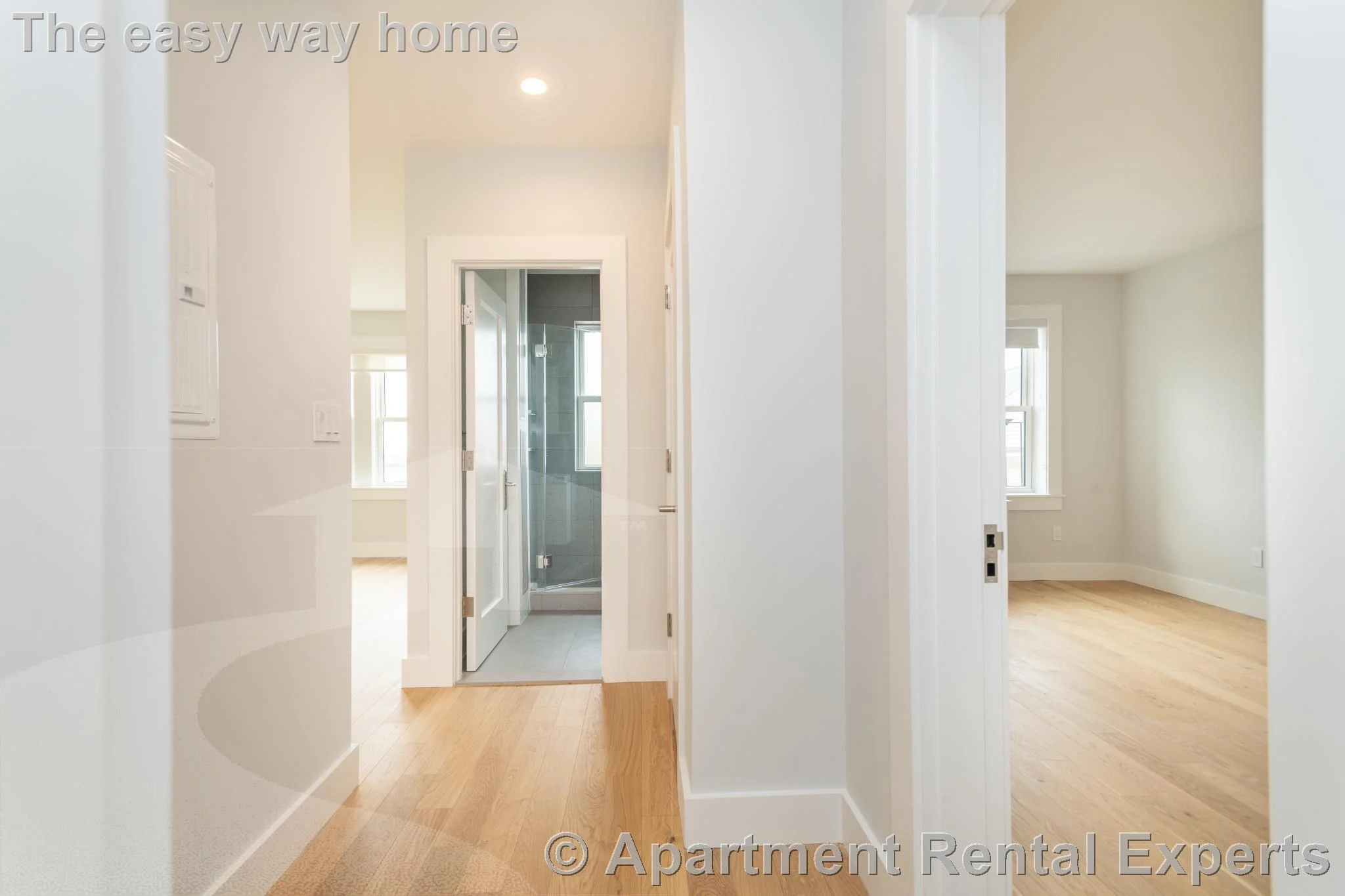 1 bed, 1 bath apartment for rent at 123 Highland Ave Unit 38, Spring Hill — photo 4 of 8