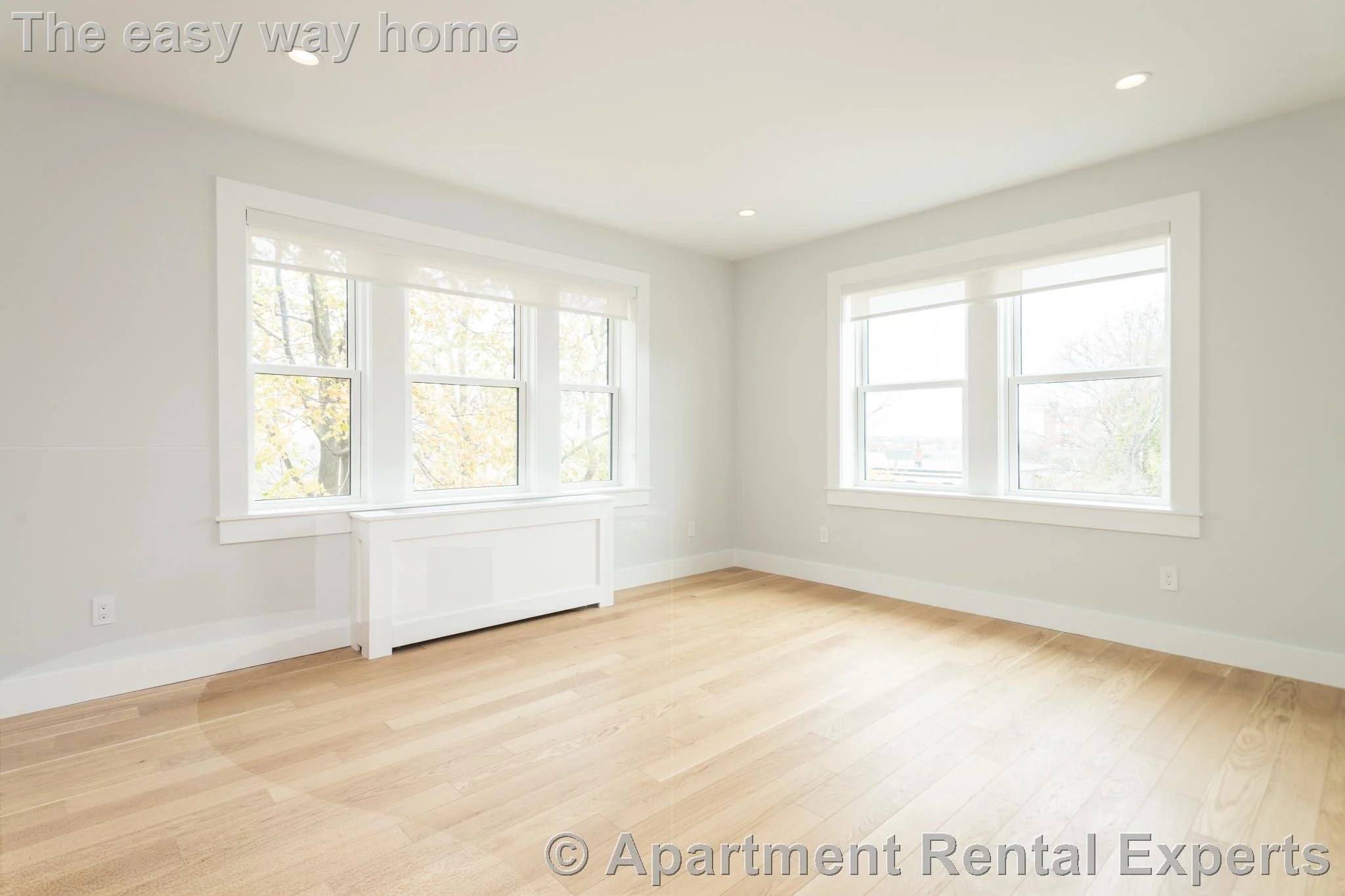 1 bed, 1 bath apartment for rent at 123 Highland Ave Unit 38, Spring Hill — photo 6 of 8