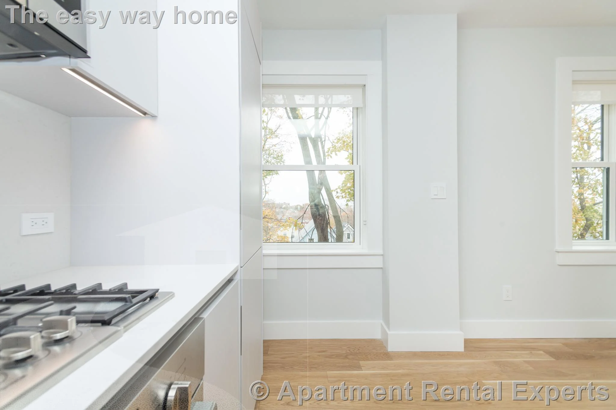1 bed, 1 bath apartment for rent at 123 Highland Ave Unit 38, Spring Hill — photo 2 of 8